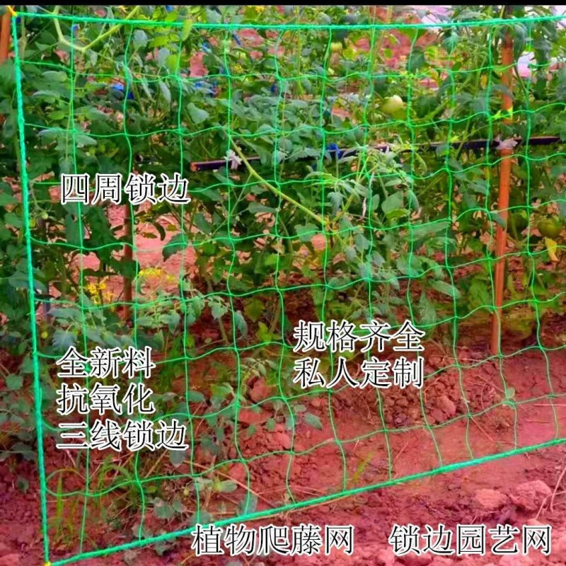 葱旭爬藤网种植物网爬藤网菊花网瓜果爬藤网瓜蒌百香果攀爬网搭架网