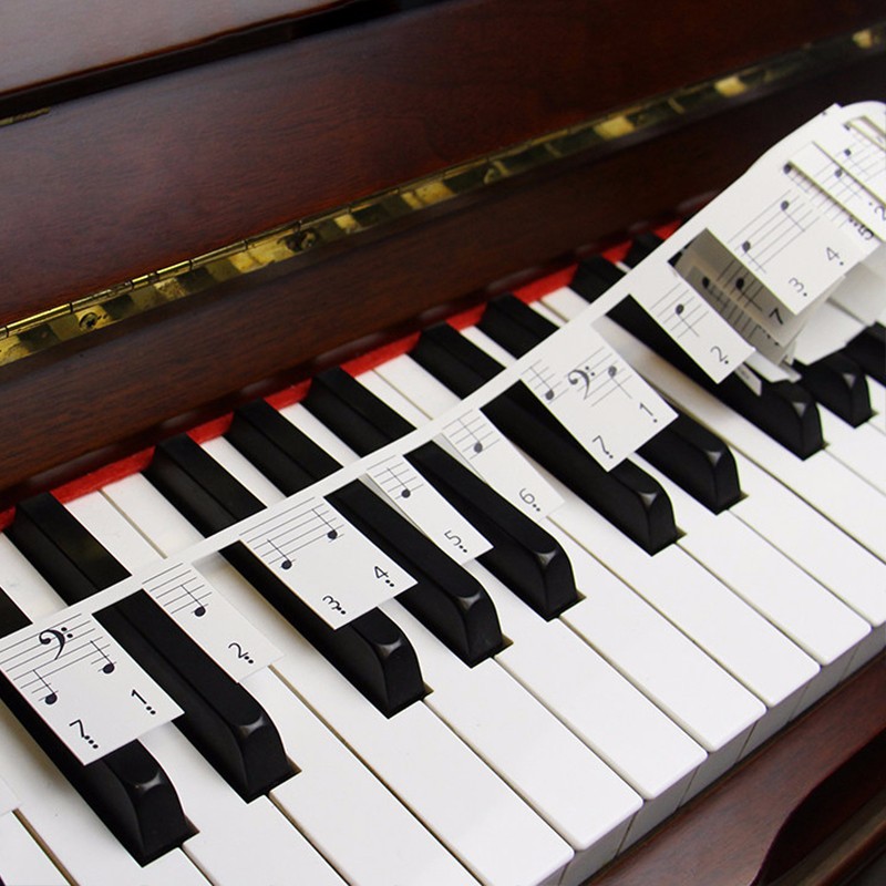 琴童宝88键钢琴键盘贴纸免安装免粘贴五线谱简谱音符标识贴可对照表对应 88键钢琴通用音符条 配谱夹子1