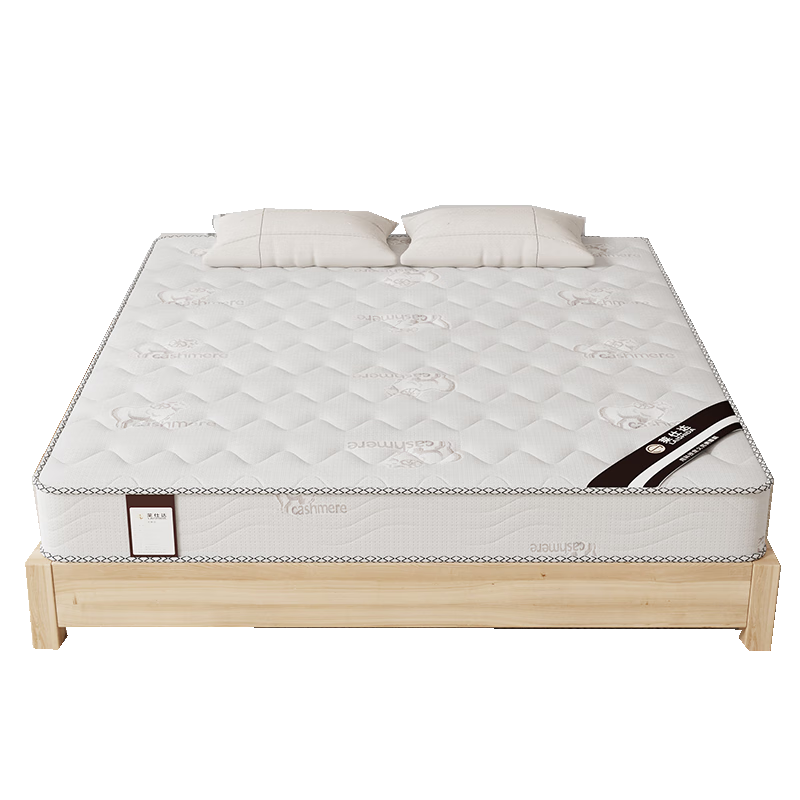 莱仕达3E椰棕弹簧床垫家用席梦思软垫无胶水亲肤面料YB605 1.5垫20厚