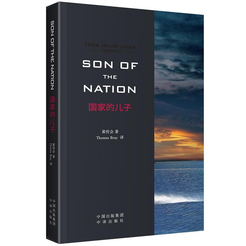 国家的儿子【正版图书,放心购买】
