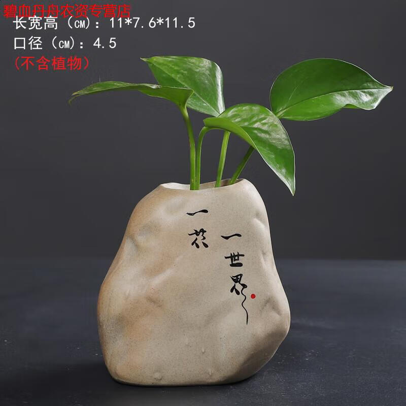 佛系瓶-一花一世界 中等