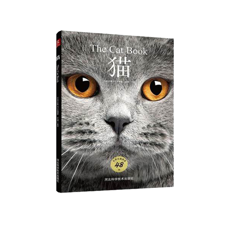 股票价格走势预测:这个神器竟然精准率高达98%!