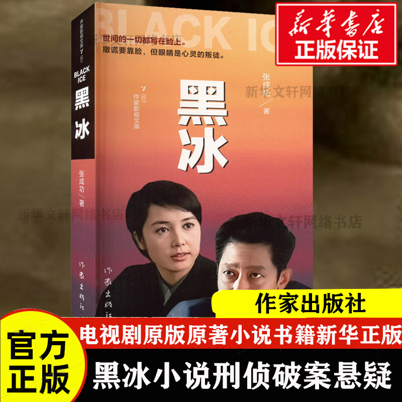 【新华正版】黑冰小说 电视剧原版原著小说书籍 世间的一切都写在脸上