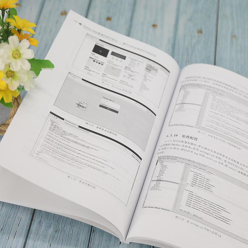 Python Web数据分析可视化：基于Django框架的开发实战/清华开发者书库·Python