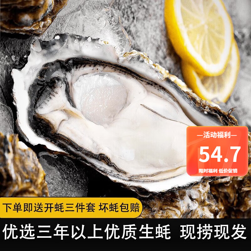 峰贝【活鲜】山东生蚝 鲜活牡蛎海蛎子 刺身现捕现发海鲜水产贝类 3XL号净重4.5斤(约12-18只）怎么样,好用不?