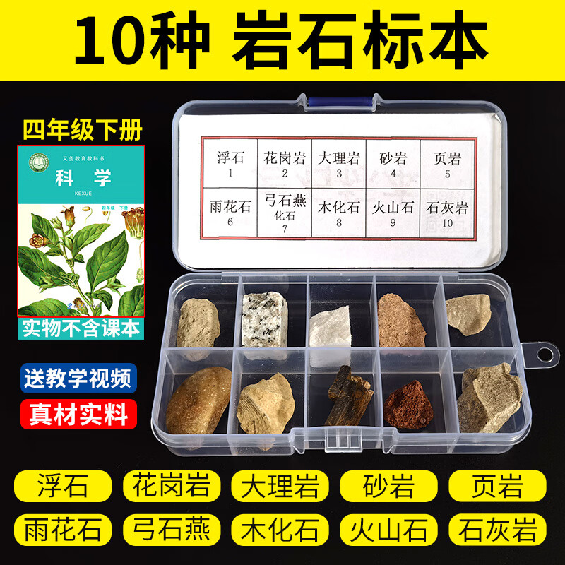 四年级科学实验下册小学生与矿物矿石盒课本配套材料套 岩石标本