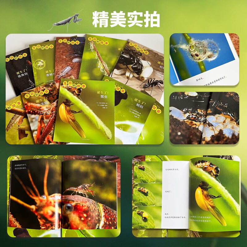 生命的故事 第1辑 高清实拍小自然昆虫动物科普 儿童绘本3-6岁幼儿园科学百科知识图书课外阅读 《人民日报》推荐 生命的故事 第1辑10册