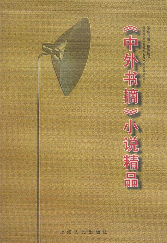 中外书摘小说精品