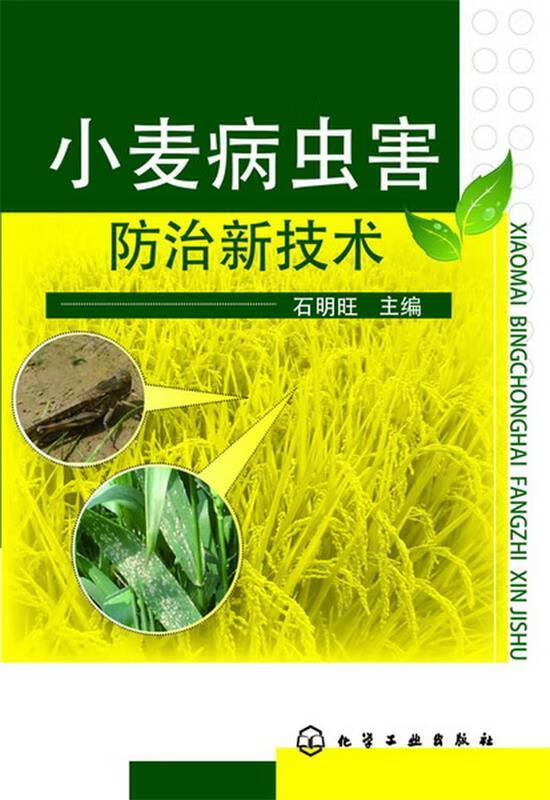 小麦病虫害防治新技术 石明旺主编【正版】