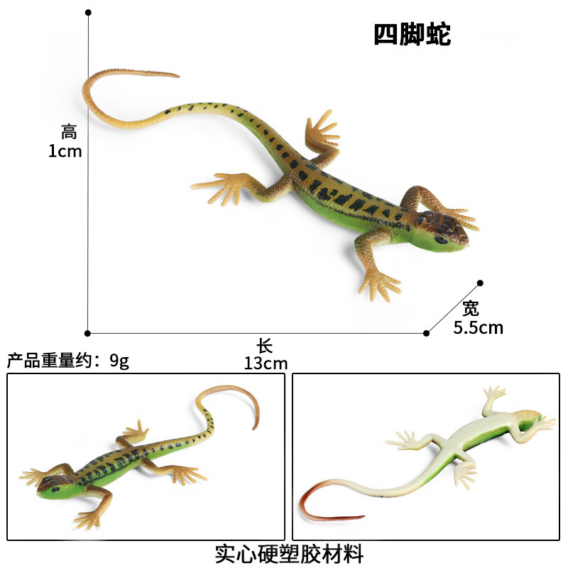 Oenux仿真野生爬行动物模型四脚蛇蜥蜴石龙子儿童整蛊玩具实心塑胶摆件 M-1511绿色四脚蛇