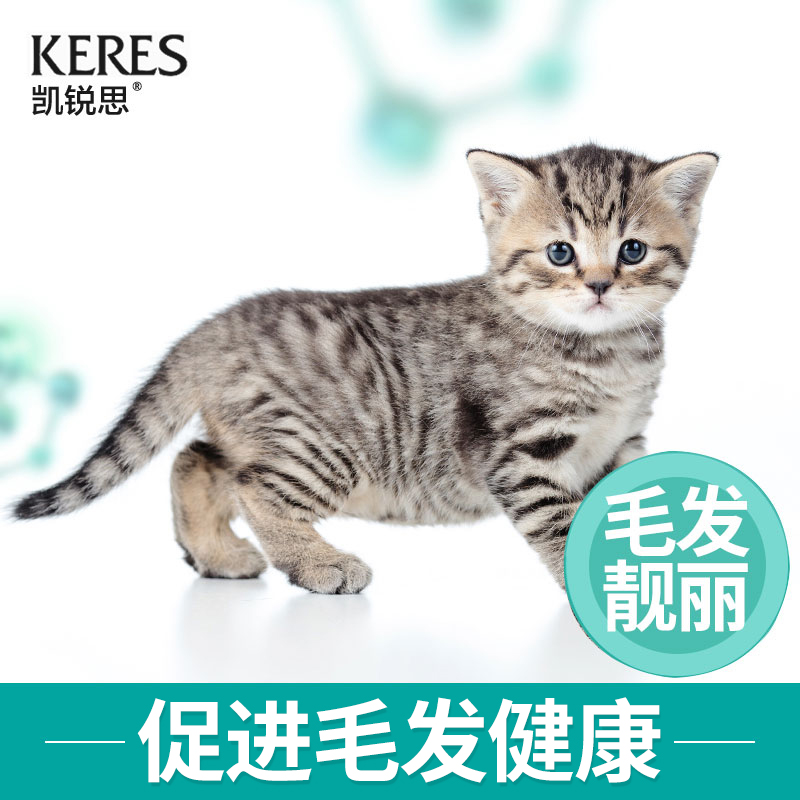 凯锐思幼猫猫粮1-4个月奶糕深海鱼三文鱼鱼肉幼猫粮天然粮猫咪爱吃嘛？