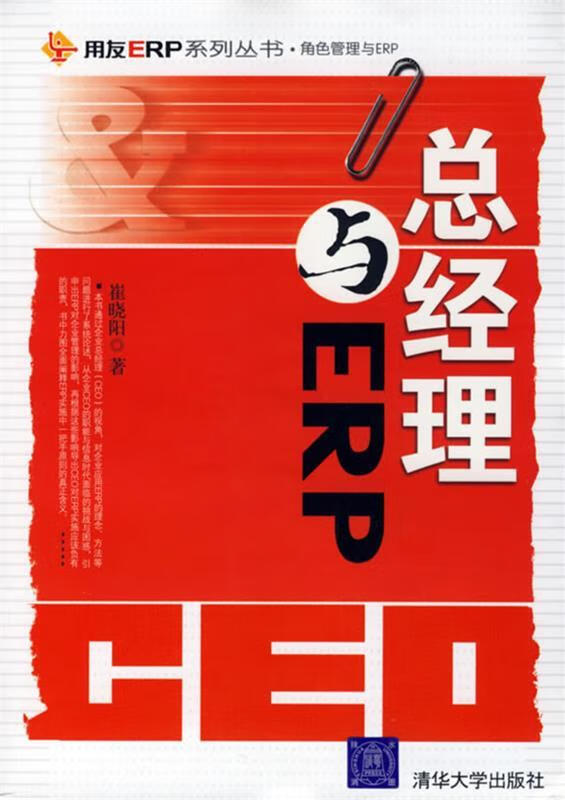 总经理与ERP 崔晓阳 著【正版】