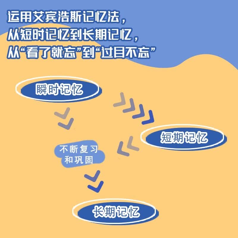 艾宾浩斯记忆法：打造过目不忘的学习脑（异步图书出品）详情图