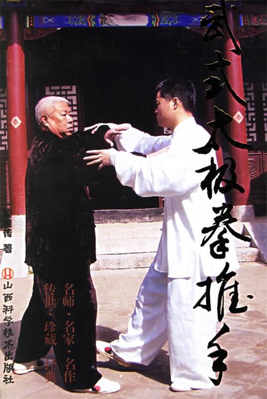 武式太极拳推手 翟维传 著【正版书】