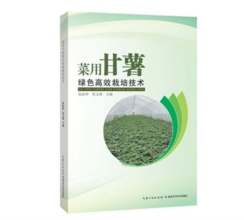 菜用甘薯绿色高效栽培技术