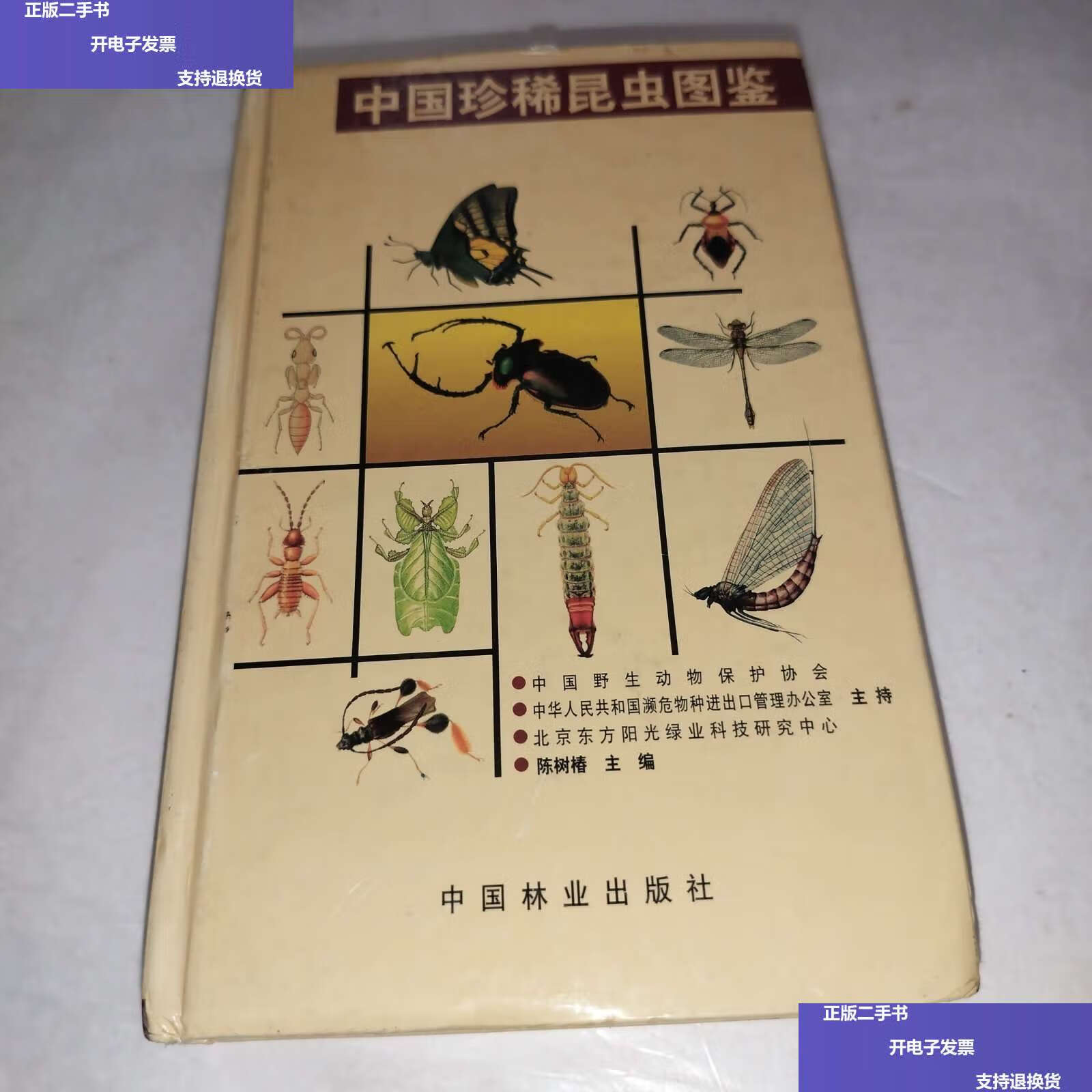 【二手9成新】中国珍稀昆虫图鉴 /陈树椿 中国林业