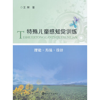 特殊儿童感知觉训练王辉南京大学出版社