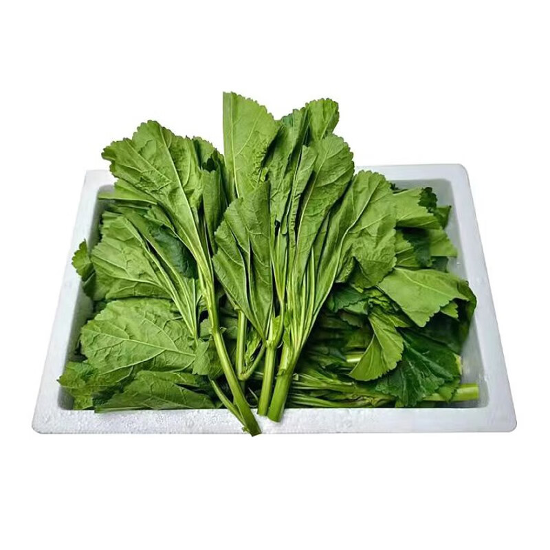 zxc四川冬寒菜 新鲜糯米冬苋菜冬涵菜马蹄菜 农家蔬菜 2斤