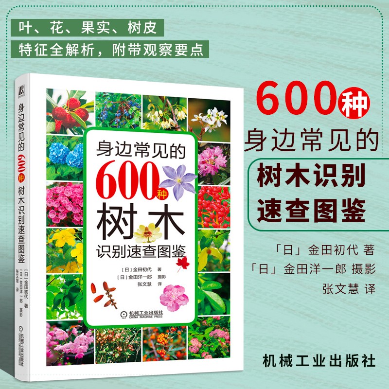 常见树木瓶中种类大全特征生长环境树木百科全书名称种类分类科目鉴别