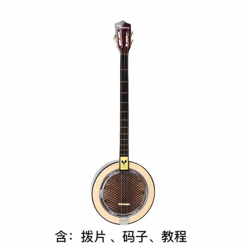 贤怀达秦琴乐器洋声蟒蛇皮圆形三弦民乐戏剧伴奏老人初学厂家直销