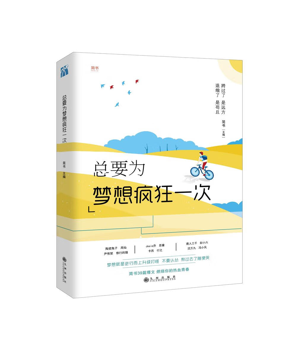 总要为梦想疯狂一次 青春文学 图书