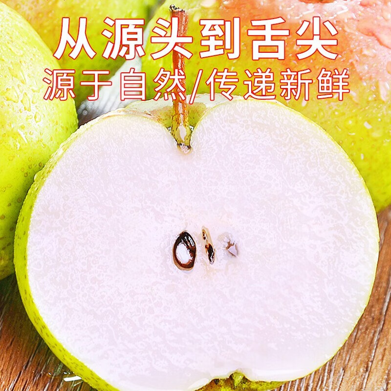 宋玉今苹果梨冻梨当季水果礼盒大果皮薄多汁延边龙井特产水果梨现摘现发 苹果梨大果12果8斤左右*1盒