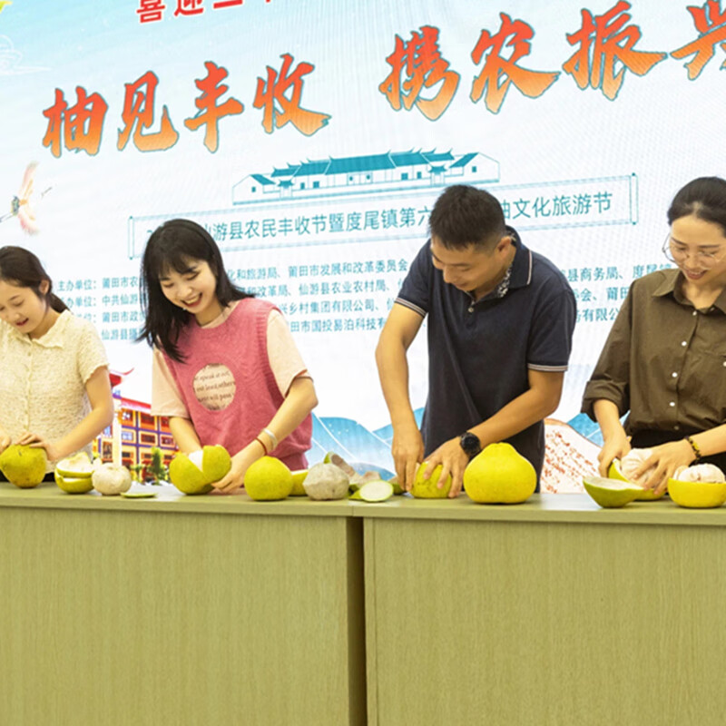 龙九恒丰正宗度尾文旦柚红心柚子蜜柚无虾线福建时令当季水果国庆中秋礼品 一级果精品 袋装20斤(单果700+