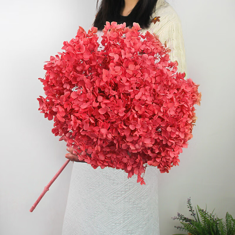 绽放永生花绣球干花真花花束家居装饰客厅摆件插花超大支婚礼布置红色
