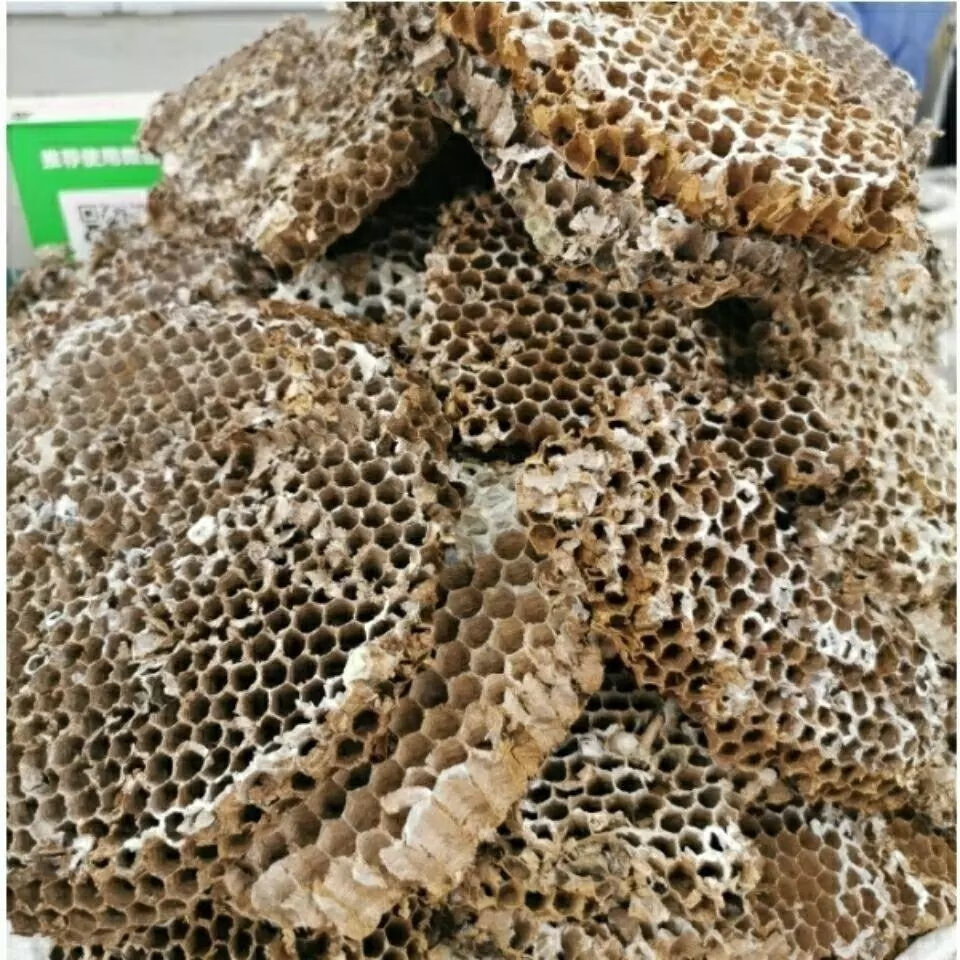 野马蜂窝野蜂窝露蜂房老蜂巢大黄蜂胡蜂灸蜂房干蜂巢蚂蜂窝新货