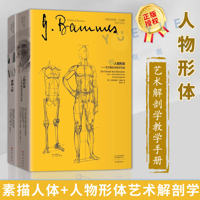 德戈特弗里德巴梅斯 作品套装2册 素描人体+人物形体艺术解剖学教学手册 高等美术教育基础实用教学参考书籍