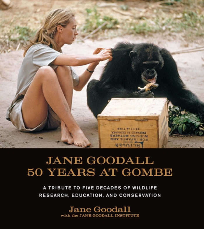 jane goodall: 50 years at gombe