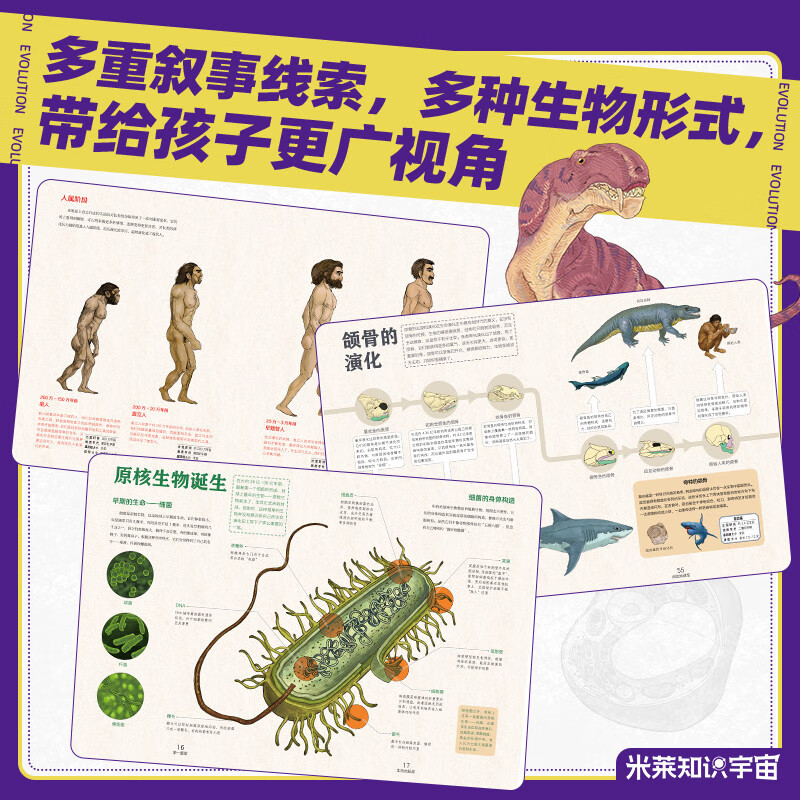 大演化：38亿年地球生命奇迹  尹烨给孩子的生命科普书 地球上的每个生命，生而荣耀详情图