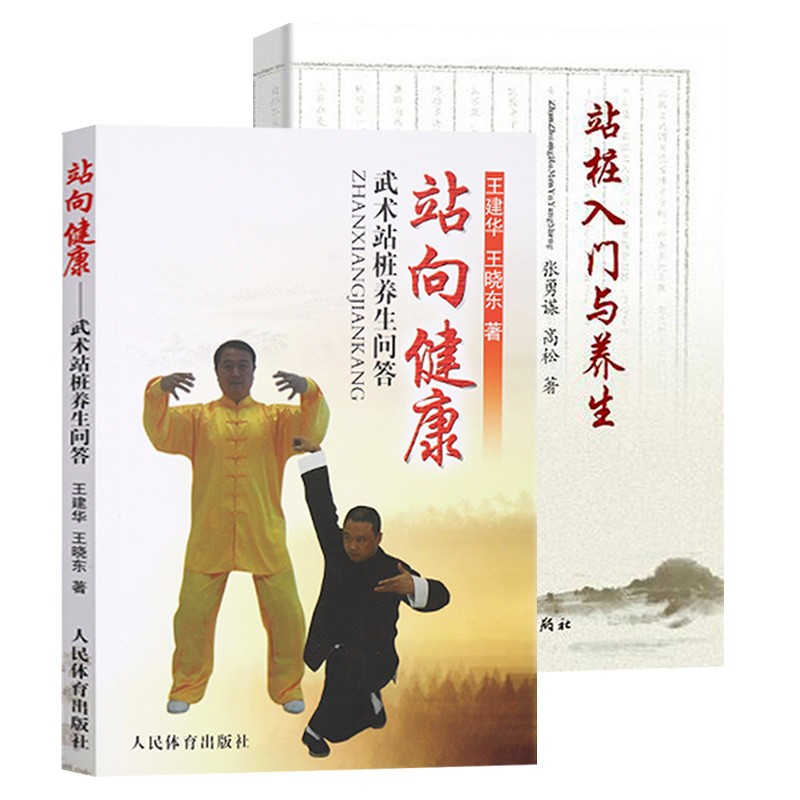 武当道门五行养生桩 武术站桩养生问答 站桩入门与养生