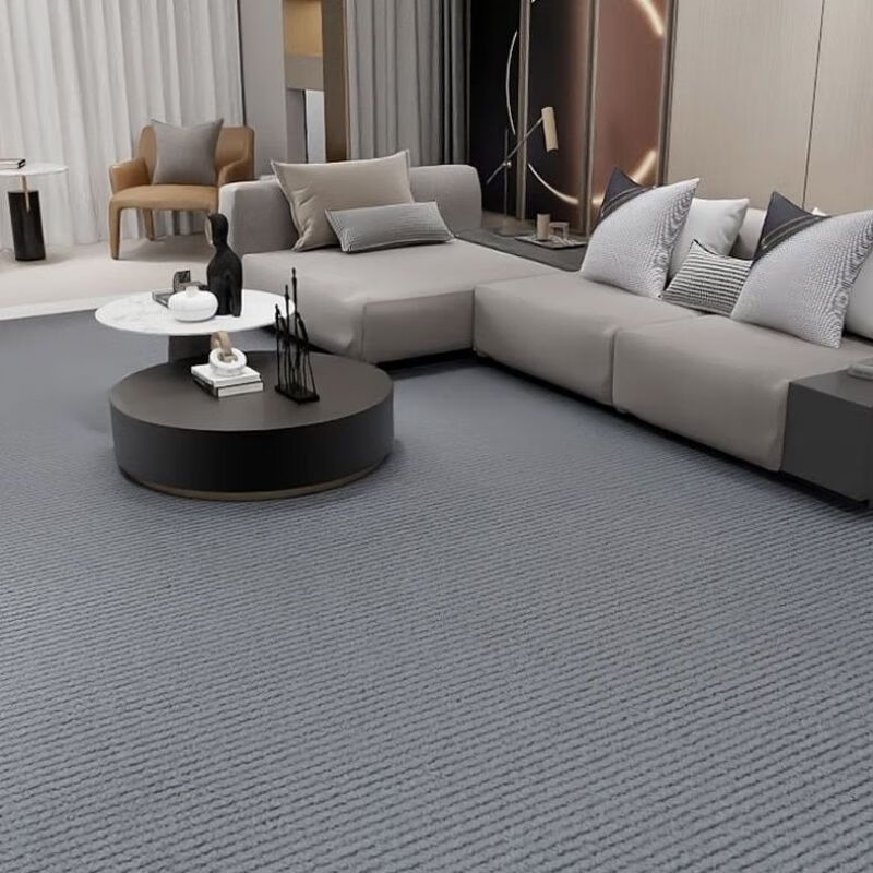 地毯房间卧室客厅大面积全铺办公室房间拍照耐脏客厅可裁剪地毯 烟灰加厚细条纹（6-7毫米厚） 2米宽3米长（整张发）送胶带