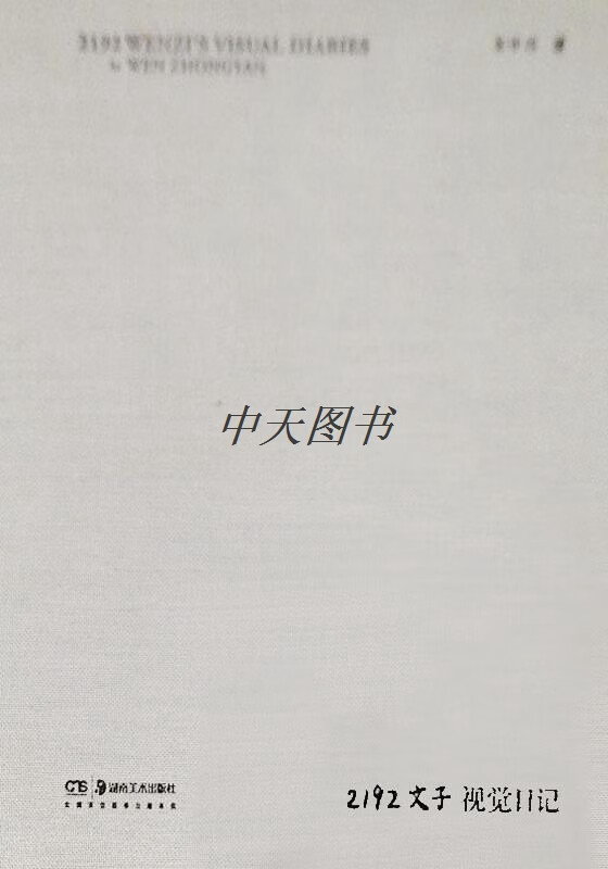 2192文子视觉日记 文中言著 湖南美术
