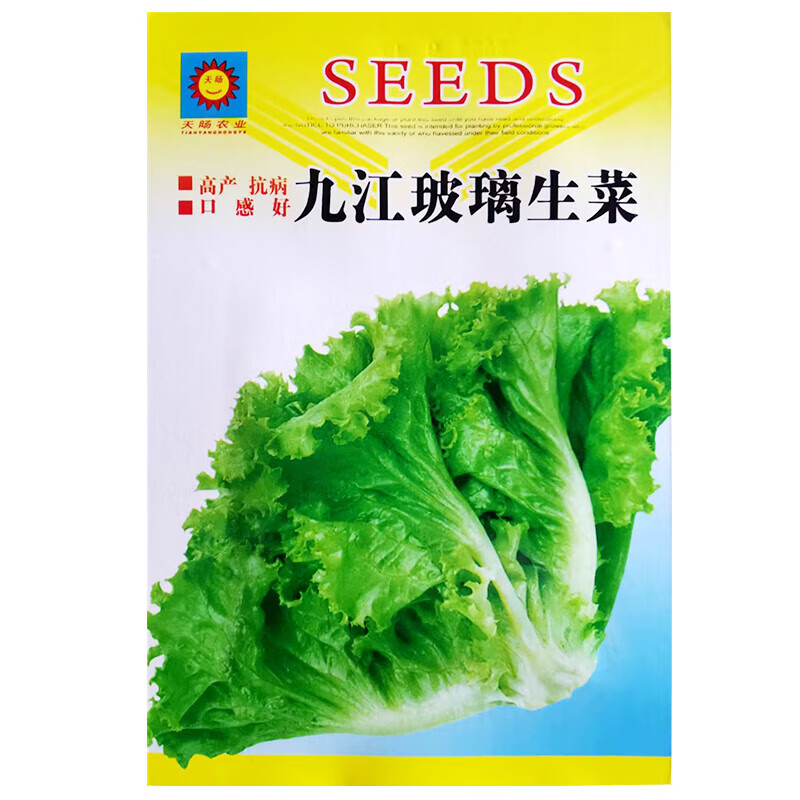 醉春木九江玻璃生菜种子阳台种菜四季盆栽莱种春季沙拉蔬菜孑仔菜