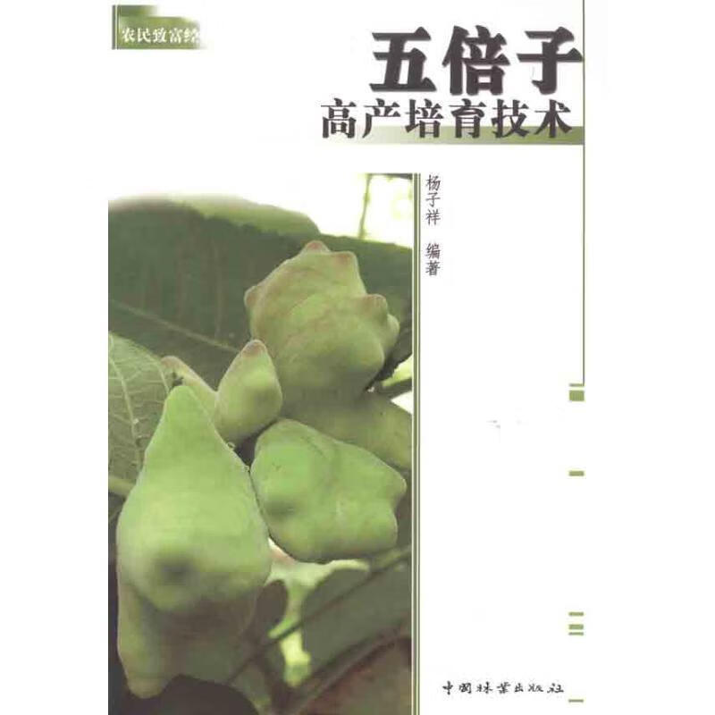 五倍子高产培育技术 杨子祥编著 中国林业出版社 9787503861710