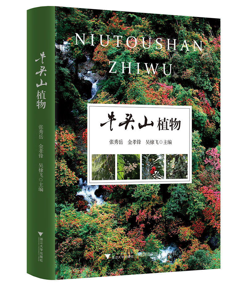 牛头山植物