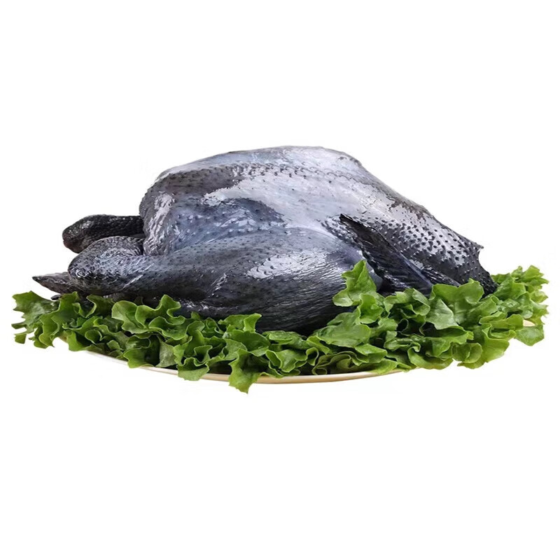 施佳嗒正宗散养乌鸡老母鸡土鸡老母鸡草鸡笨鸡爪腿柴整鸡乌骨鸡 1只