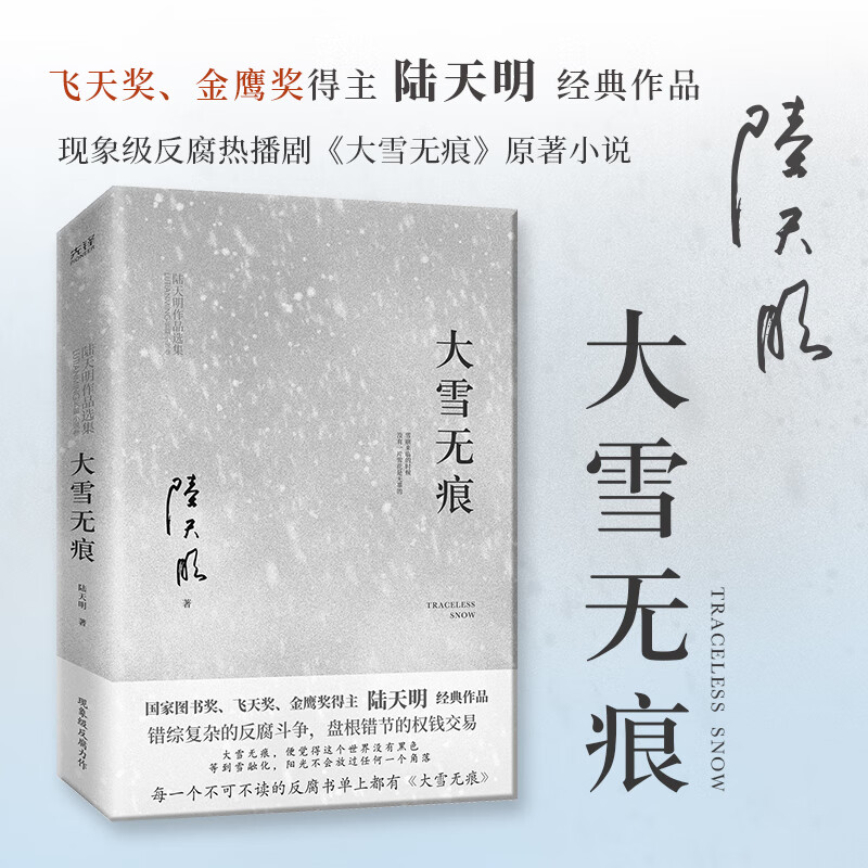大雪无痕(飞天奖,金鹰奖得主陆天明经典作品,现象级电视剧《大雪无痕