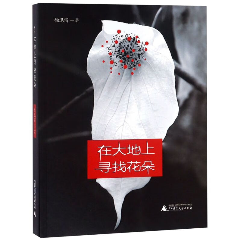 在大地上寻找花朵