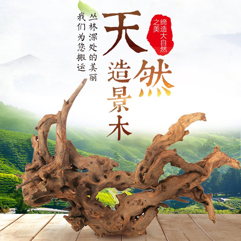 电商造景装饰价格变化查询|造景装饰价格走势图