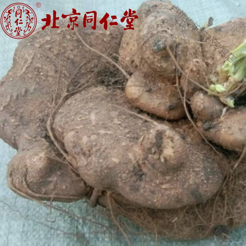 北京同仁堂贵州野生蛇莲金龟莲苦金盆 雪胆优质苦金盆蛇灵芝罗锅底