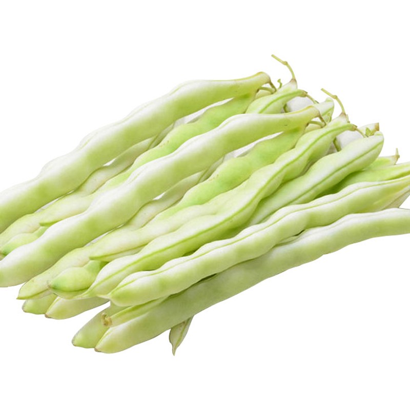 泰国无筋架豆种子长芸豆菜豆青豆高产春季秋冬四季菜种子盆栽豆角籽