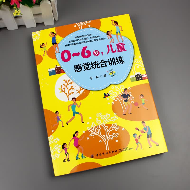 儿童心理学0-3-6感统训练正面管教家庭教育书籍应用关键反