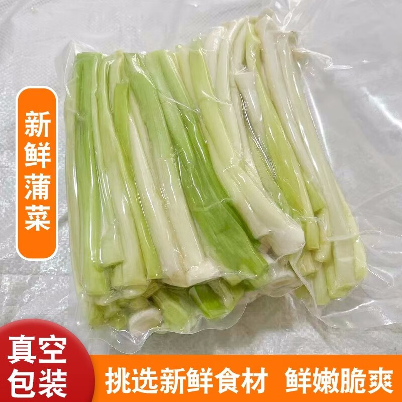 林中山新鲜蒲菜时令野菜茭白淮安特产蒲笋蒲儿菜净菜 2斤