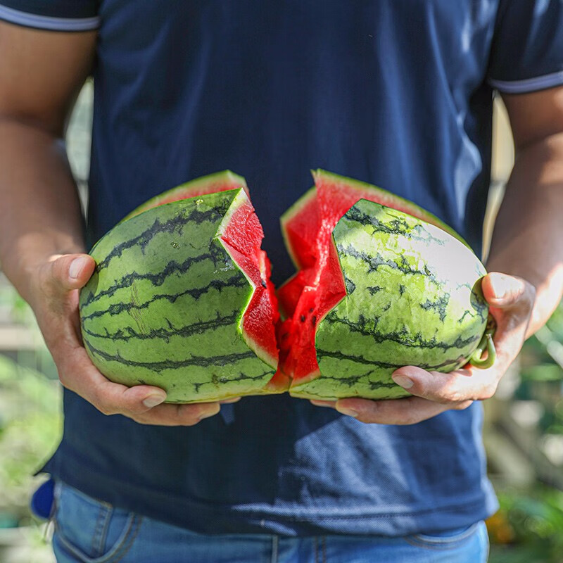寿禾 西瓜种子多品种南方美都无籽早熟晚熟甜王巨型特大春冬季四季