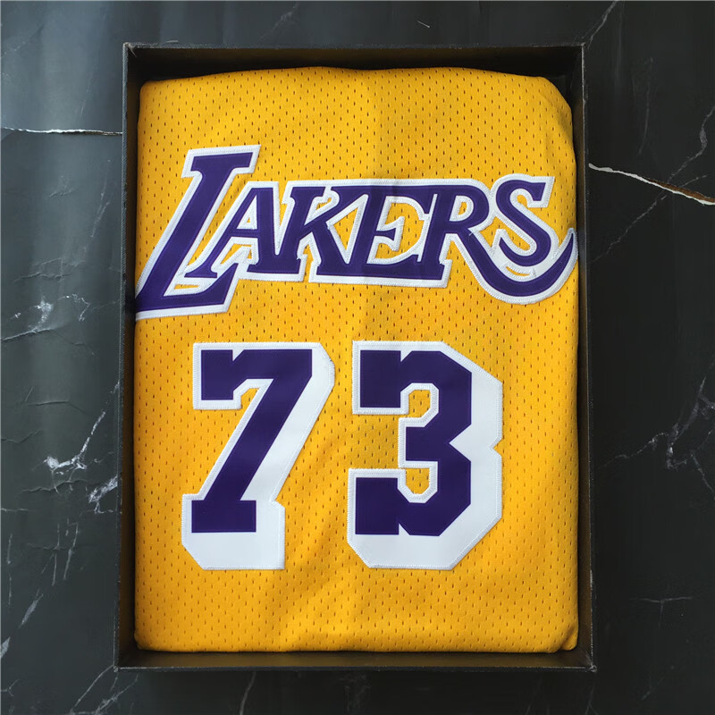 涂典刺绣洛杉矶湖人队73号 罗德曼球衣复古网眼篮球服宽松背心男女