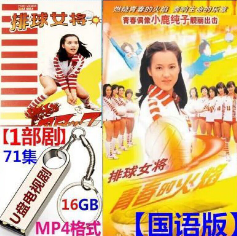 erilles16g优盘版电视剧(国语版-排球女将.