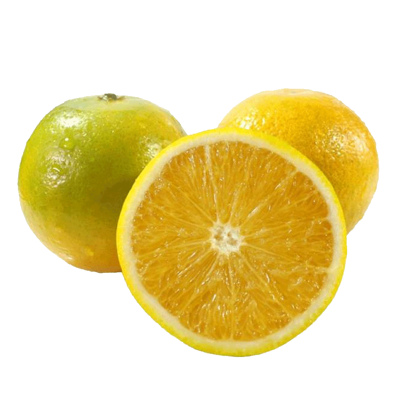 plus��Ա������ȯ�������� ���ϰ���ɽ���ǳ� 5��*3��